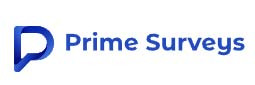 Prime Surveys